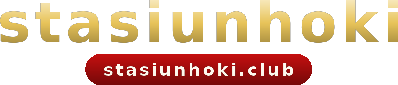 stasiunhoki logo